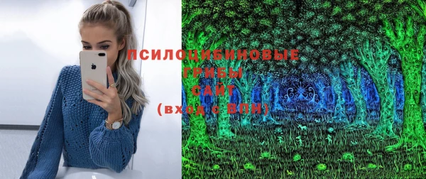 молекула духа Михайловск