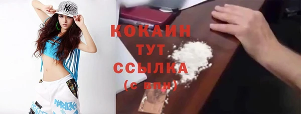 прущий лед Михайлов