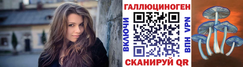 мега онион  Щёкино  Галлюциногенные грибы Psilocybine cubensis  купить наркотик 